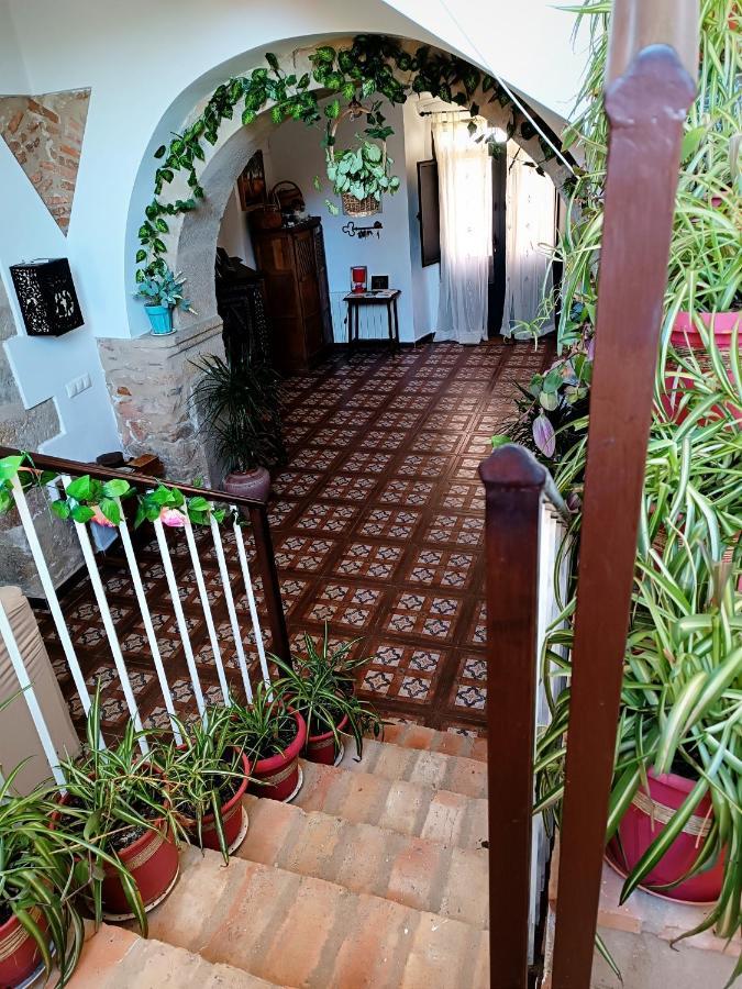 Ferienwohnung 25 De Abril Santa Cruz de la Sierra Exterior foto